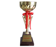 有突出貢獻優秀人才